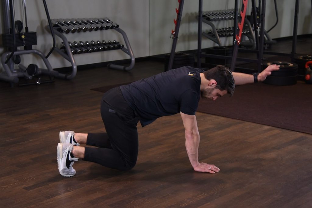 Bear plank z wyprostem ramienia Bear plank z wyprostem ramienia