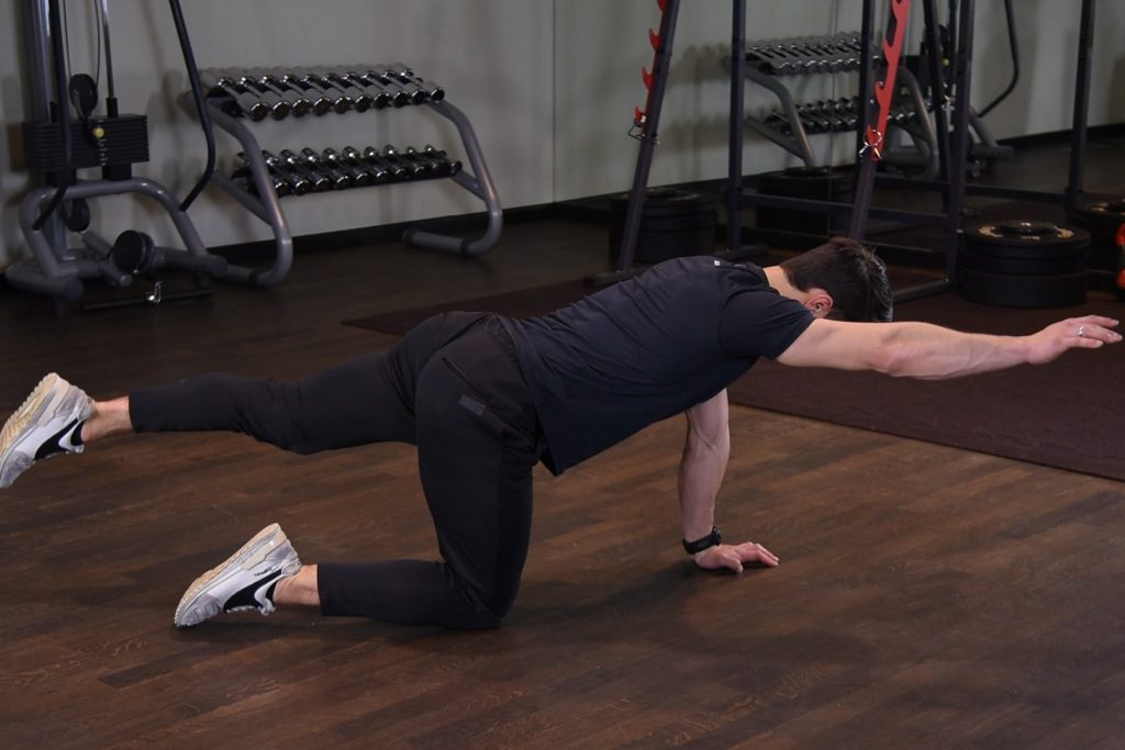 Birddog - Naprzemienne unoszenie nogi i ramienia w klęku podpartym Birddog - Naprzemienne unoszenie nogi i ramienia w klęku podpartym